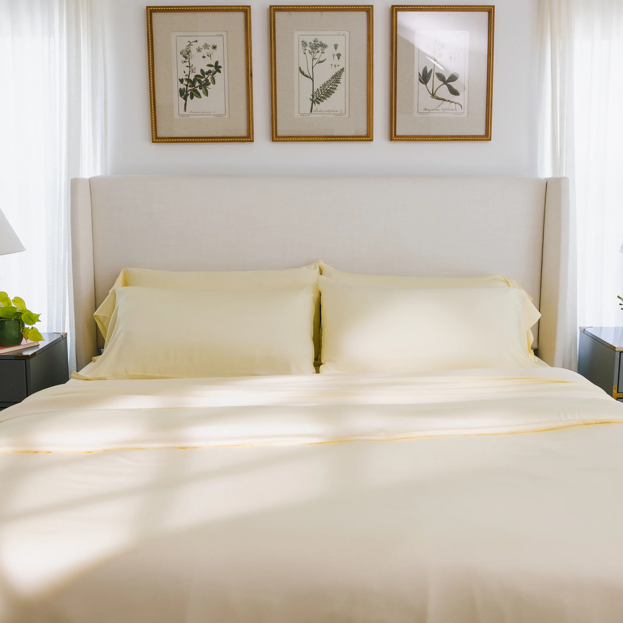 Bamboo Sheet Set - Wholesale - Image 78