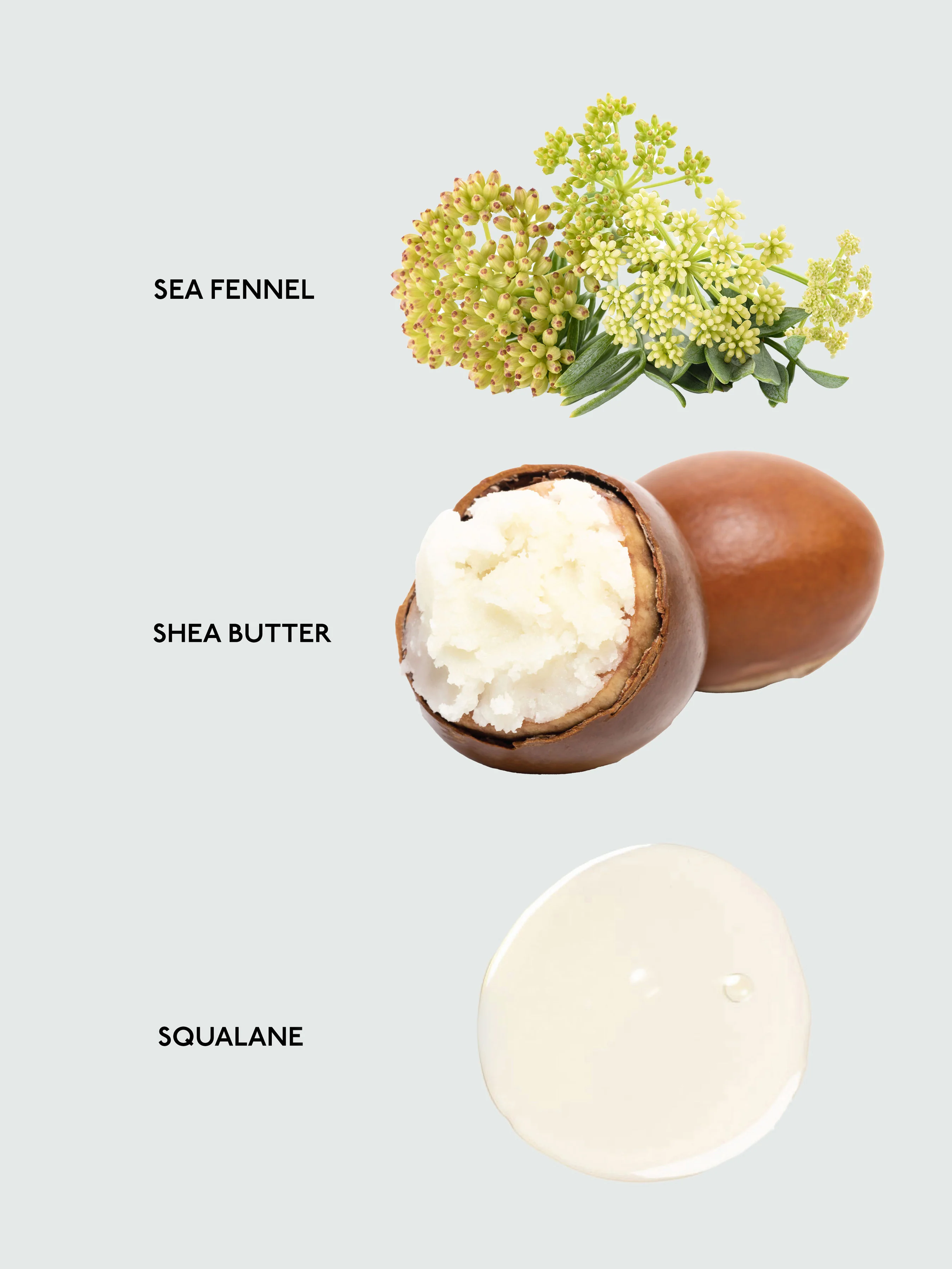 Body Butter - Image 7