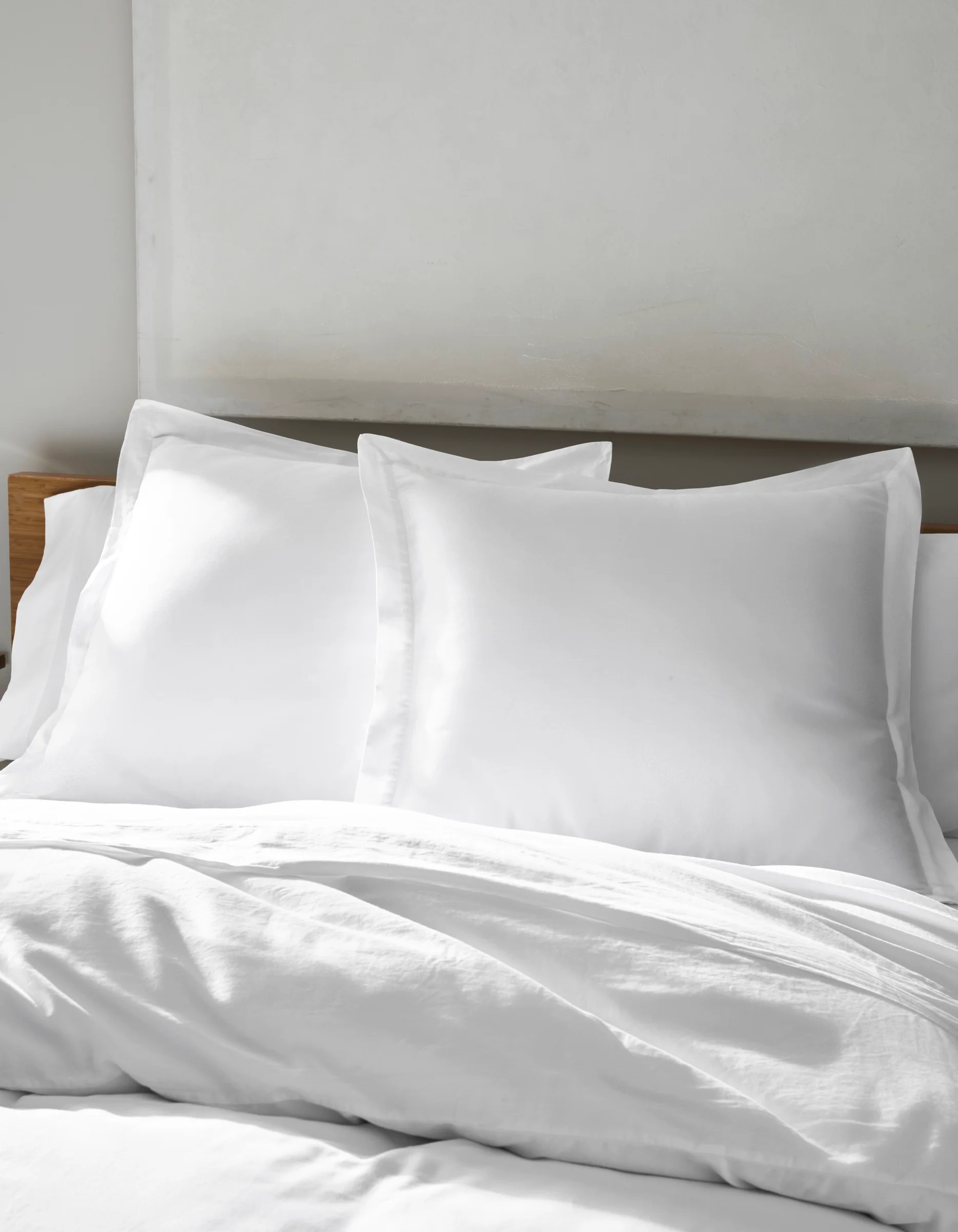 Soft-Wash Cotton Shams - Image 4